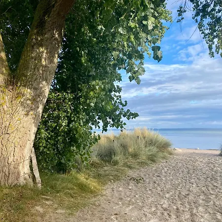 Suedstrand Haus 46 Holiday home *